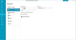 Convert to Word Export