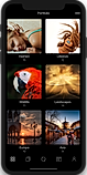Portfolio screenshot