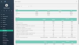 Quick Report