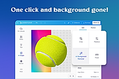 AI Background Remover