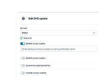 Bulk DNS Updates