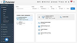 Custom Fields Details