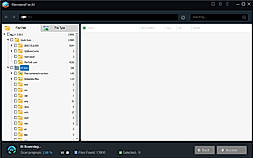 File Type