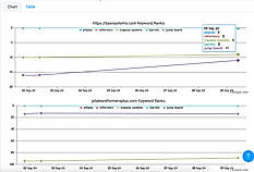 New Keywords Adviser 