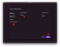 Robocorp Lab Push to Robocloud