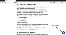 Live chat widgets screenshot