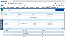 Boose Salesforce Monitor Screen