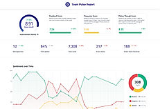 Team Pulse Report