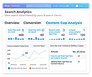 Search Analytics