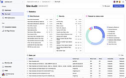 Site Audit