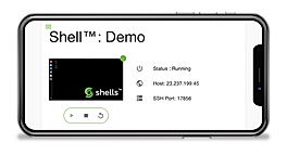 Shells.com screenshot