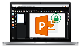 Shells.com screenshot