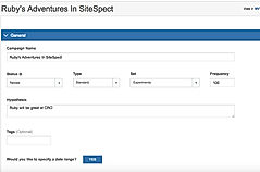 Campaign name and hypothesis