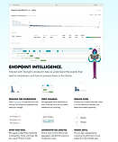 Interact with Skylights endpoint data