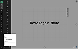 Developer Mode