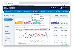 Social Report screenshot