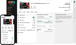 Payment cards screenshot