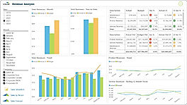 Revenue analysis