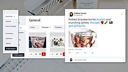 Squirrly Social Screenshot