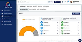 Performance Development Dashboards