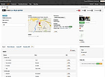 Synchroteam screenshot: Job Detail
