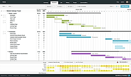 Switched From Microsoft Project 