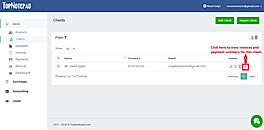 Client payment summary action
