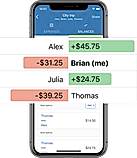 Check Balances screenshot