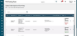 Sales Order Approval Summary screenshot