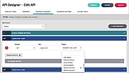 API Designer - Edit API