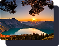 Next Level Photography