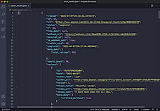 JSON format screenshot