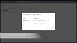 Register a New Usage