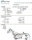 Medical Records