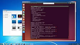 VNC Connect Demo - Connected Screens 