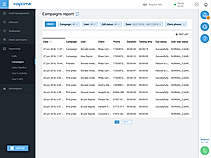 Detailed campaign report