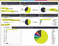 Domain Data Infographic