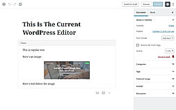 Gutenberg Editor