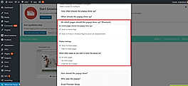 Show on Selected Pages