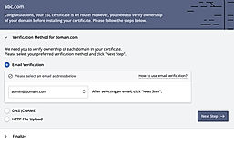 Domain Verification