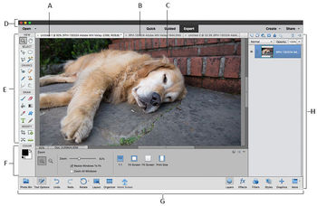 Adobe Photoshop Elements vs Adobe Photoshop Express Comparison |  