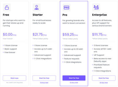 Debutify Theme Pricing: Cost and Pricing plans
