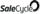 SaleCycle