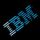 IBM Domain Name Service (DNS)