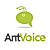 AntVoice logo
