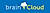 brainCloud logo