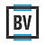 BrandVerity logo