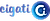 Cigati OneNote Converter logo