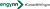 Engynn Intranet logo