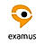 Examus AI proctoring logo
